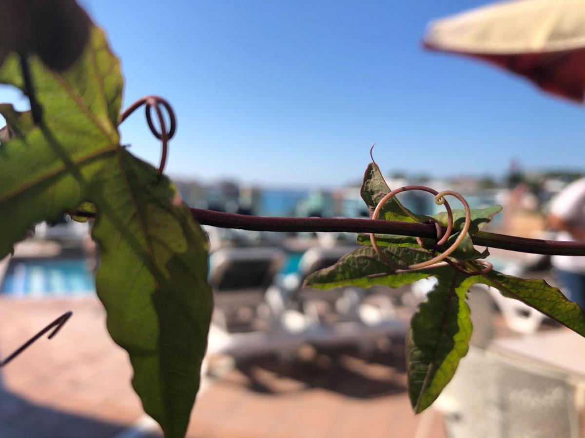 Hotel Astoria Park يوريت دي مار المظهر الخارجي الصورة